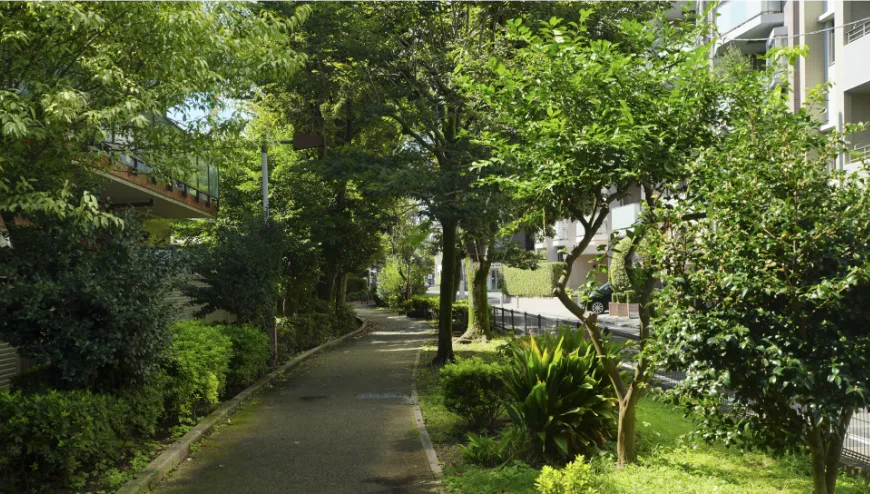 蛇崩川緑道