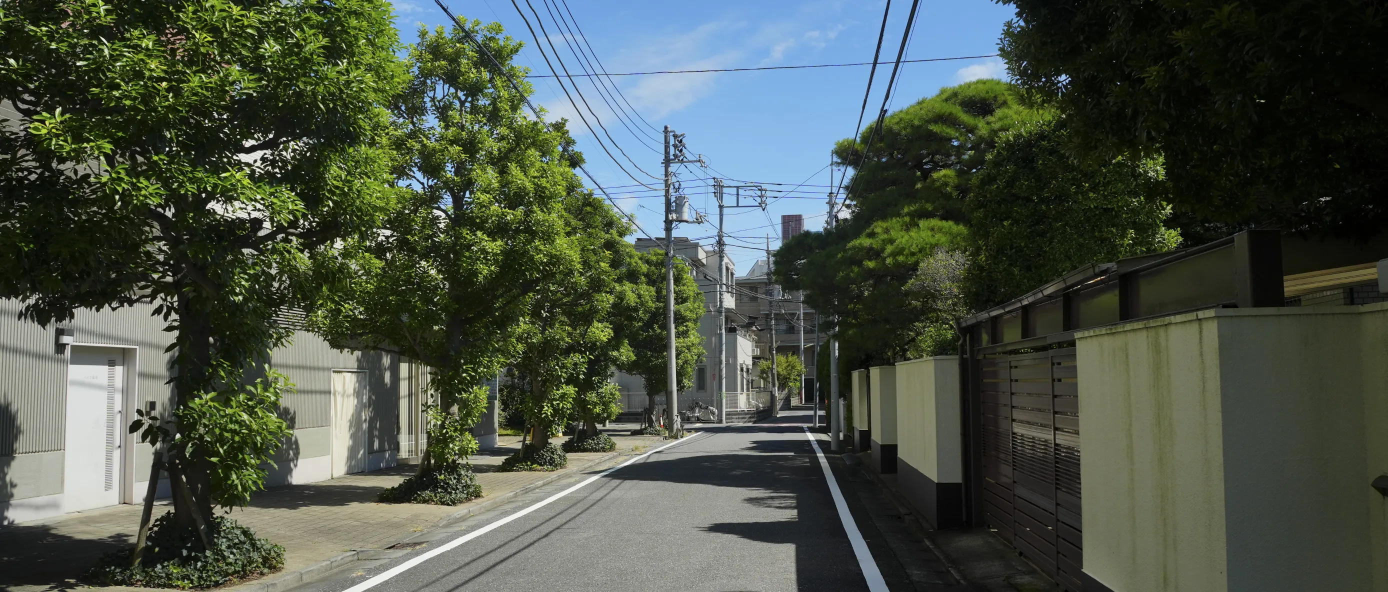現地周辺の街並み
